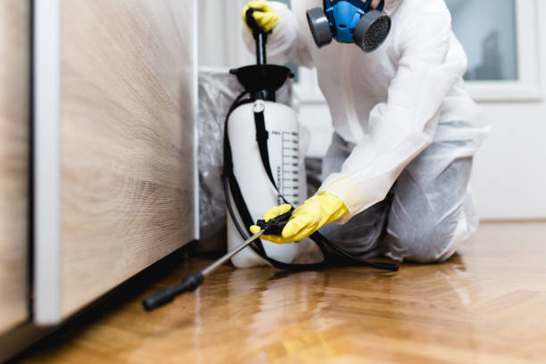 Best Pest Control Near Me  in Orosi, CA