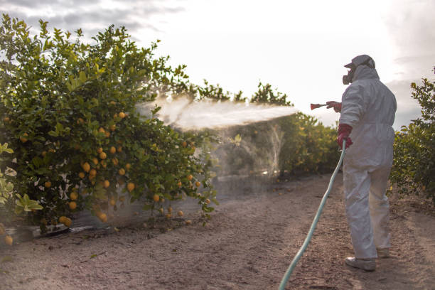 Best Best Pest Control Companies  in Orosi, CA