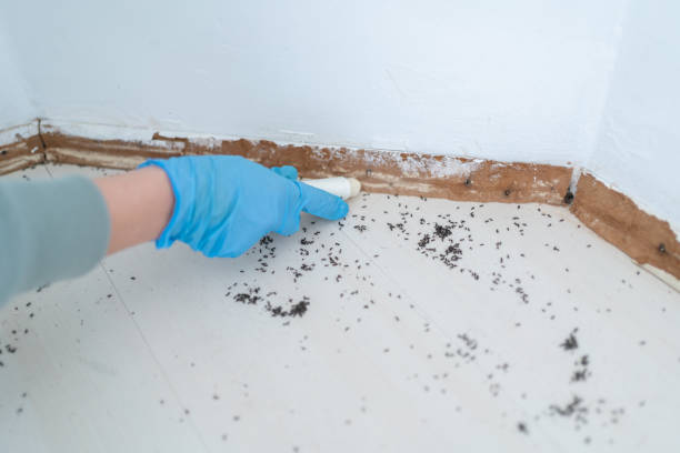 Best Exterminator Services  in Orosi, CA