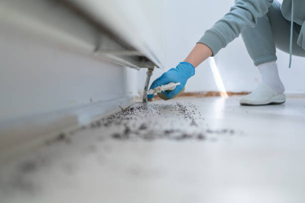 Best Local Pest Control Services  in Orosi, CA
